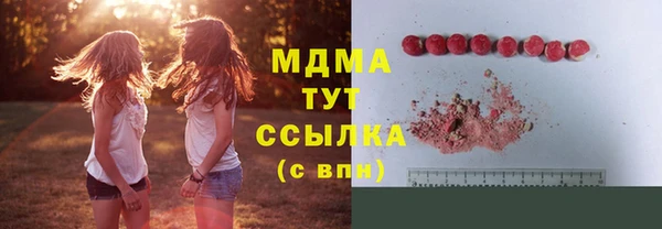 индика Алексин