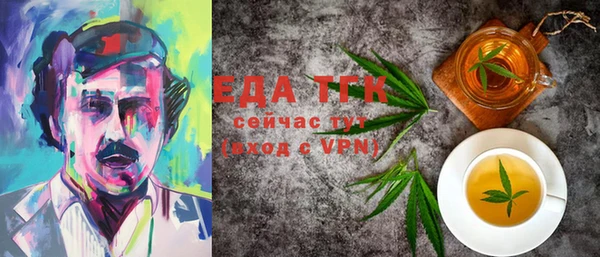 индика Алексин