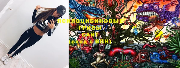 индика Алексин