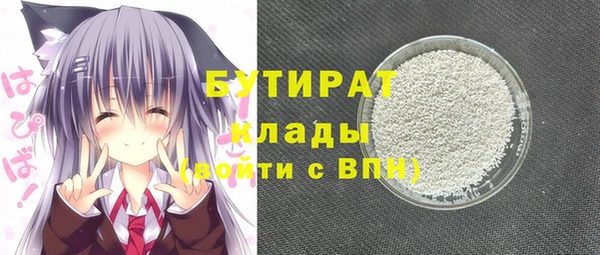 индика Алексин