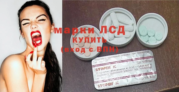 индика Алексин