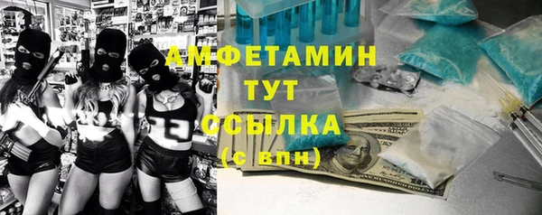 индика Алексин