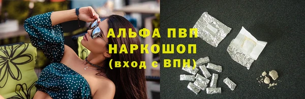 индика Алексин