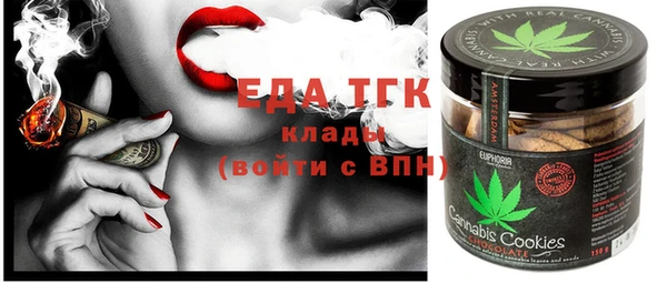 индика Алексин