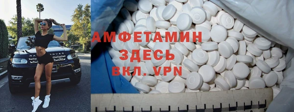 индика Алексин
