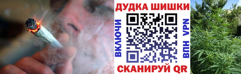 как найти наркотики  Жуков  Конопля семена 